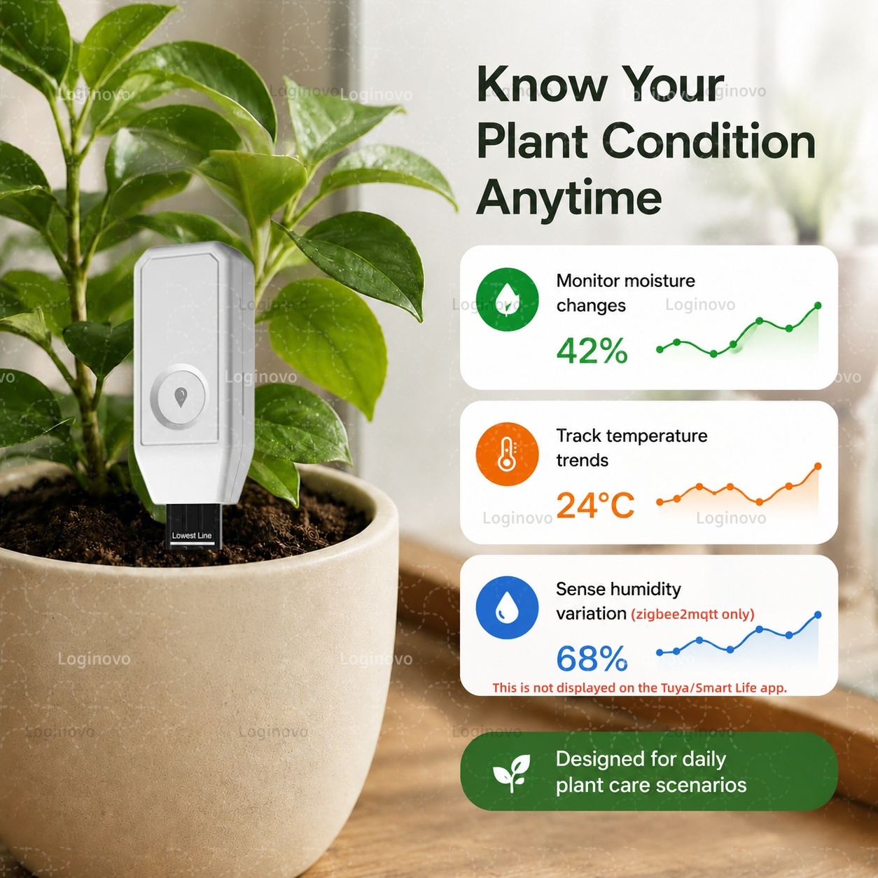 Zigbee Bodemsensor Temperatuur - Smart Garden Home Assistant recensie en prijs