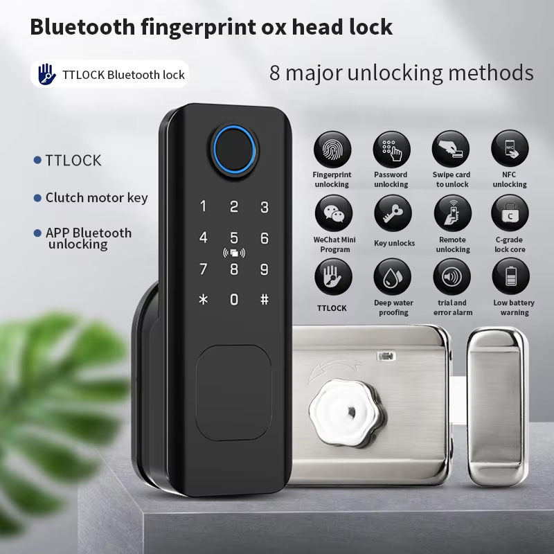 Beginners Tuya Ttlock Buitenpo - Smart Garden Door Lock recensie en prijs