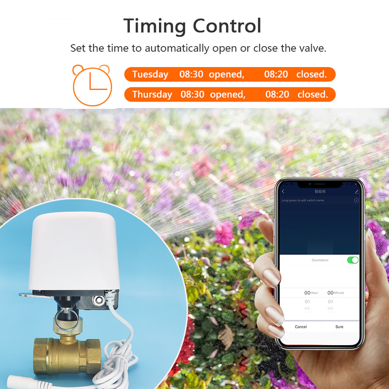 Wifi Zigbee Tuya Waterklep Tui - Smart Garden Home Assistant recensie en prijs
