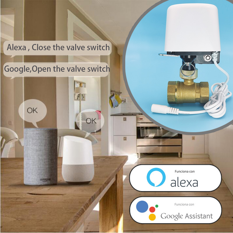 Wifi Zigbee Tuya Waterklep Tui - Smart Garden Home Assistant recensie en prijs