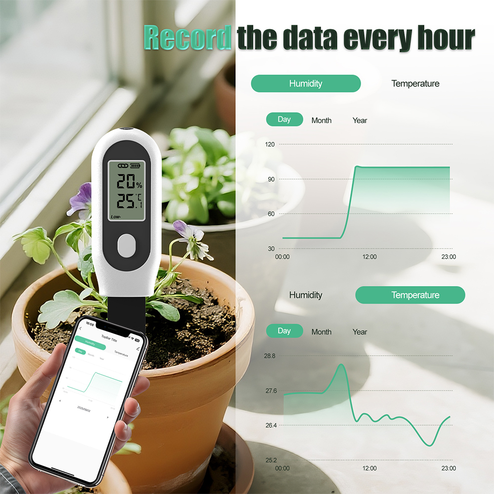 Tuya Zigbee 3-in-1 Bodemtemper - Smart Garden Home Assistant recensie en prijs