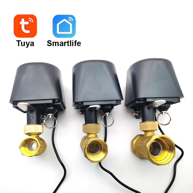 Tuya WiFi of Zigbee Waterklep  - Wifi Irrigation Timer recensie en prijs
